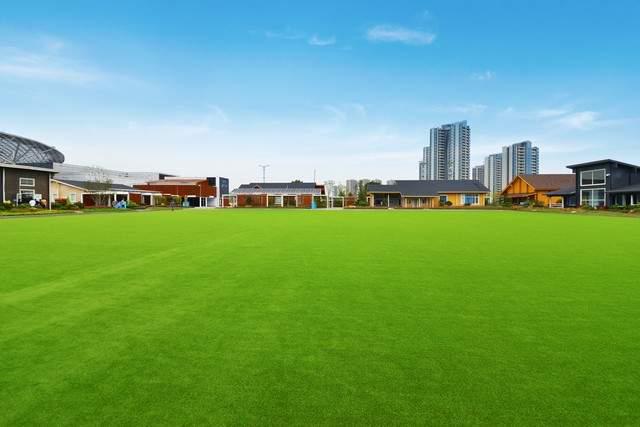 人造草坪施工全揭秘：打造绿意盎然的户外空间新选择beat365在线体育